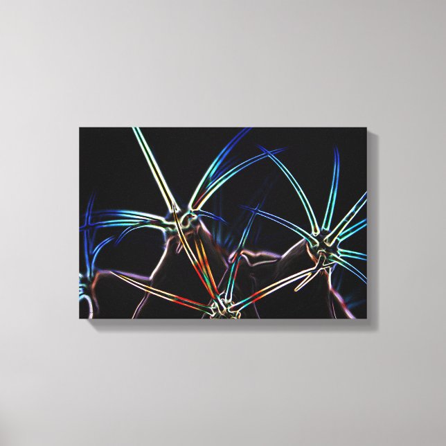 Lienzo Cactus 1 16,50x11 (41,25x27,5cm) (Anverso)