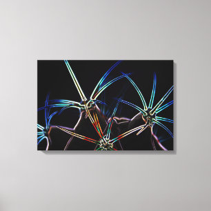 Lienzo Cactus 1 24x16 (60x40cm) waccnm