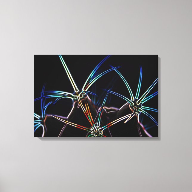 Lienzo Cactus 1 24x16 (60x40cm) waccnm (Anverso)