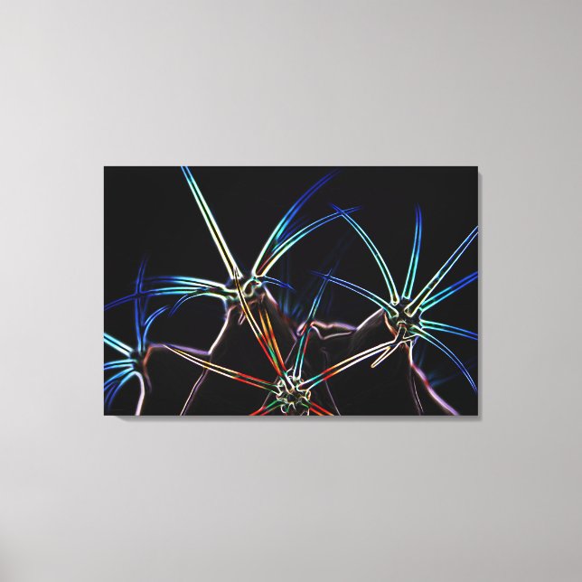 Lienzo Cactus 1 36x24 (90x60cm) (Anverso)