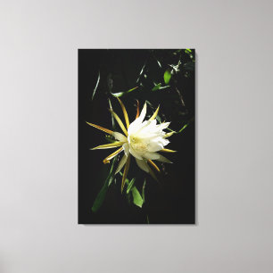 Lienzo Cactus Bloom