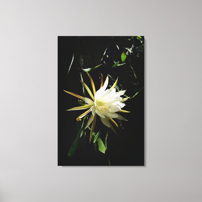 Lienzo Cactus Bloom (Anverso)