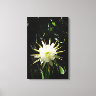 Lienzo Cactus Bloom