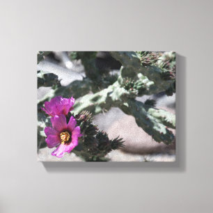 Lienzo Cactus Challa en flor