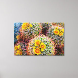 Lienzo Cactus de barril cerca, California
