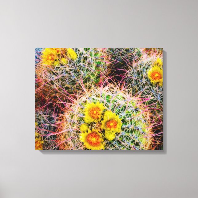 Lienzo Cactus de barril en primer plano, California (Anverso)