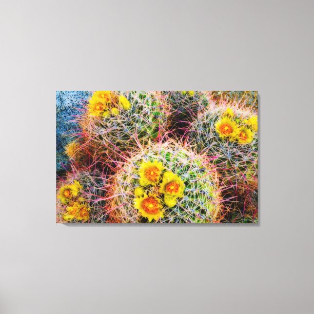 Lienzo Cactus de barril en primer plano, California (Anverso)