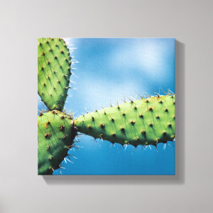 Lienzo Cactus de Prickley