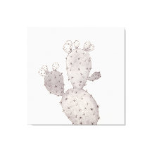 Cactus del Desierto