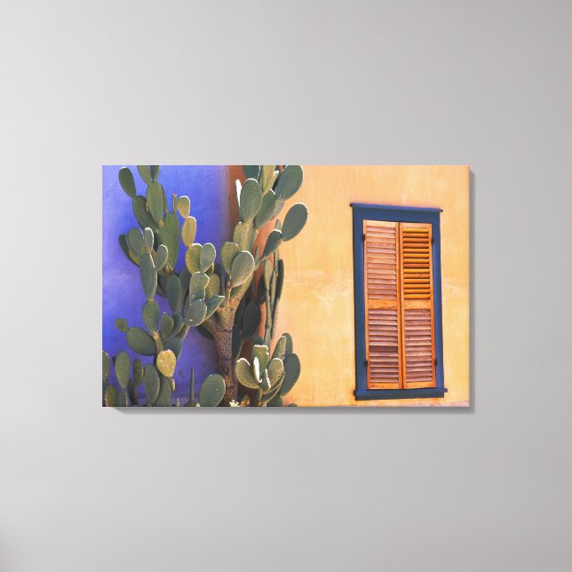 Lienzo Cactus del suroeste (Opuntia dejecta) y (Anverso)