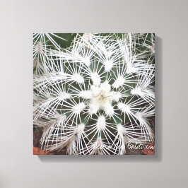Lienzo Cactus en forma de estrella de Debra Lee Baldwin