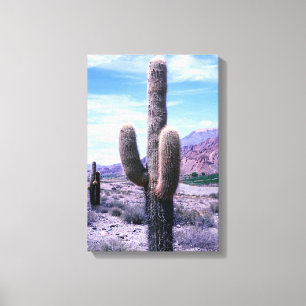 Lienzo Cactus en la provincia de Jujuy - norte de Argenti