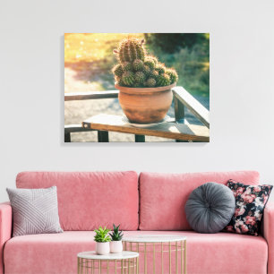 Lienzo Cactus en luz solar