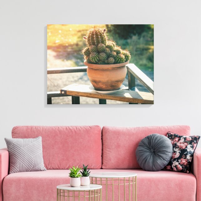 Lienzo Cactus en luz solar (Insitu (Sala de estar))