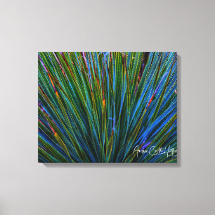 Lienzo Cactus en turquesa