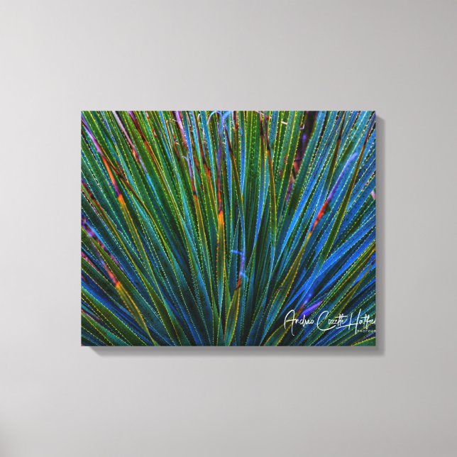 Lienzo Cactus en turquesa (Anverso)