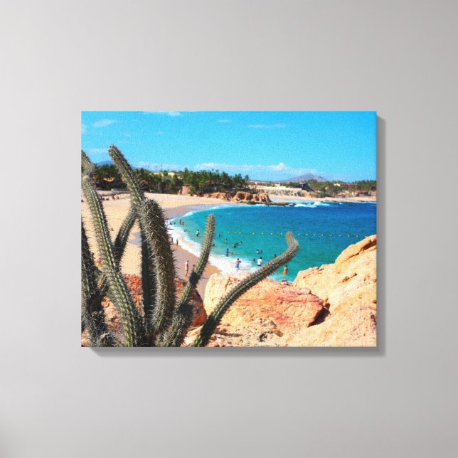 Lienzo Cactus On Rocky Hilltop Over Sandy Beach (Anverso)