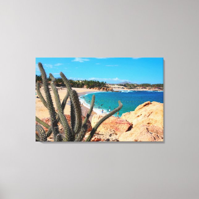 Lienzo Cactus On Rocky Hilltop Over Sandy Beach (Anverso)