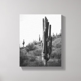 Lienzo Cactus Saguaro 8 x 10 negro y blanco grueso