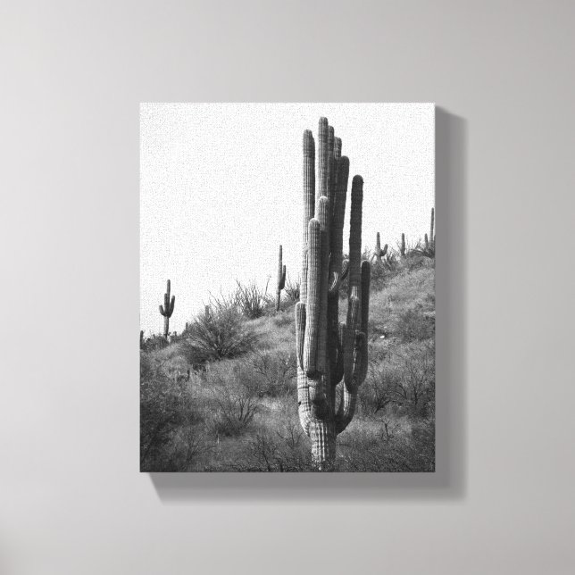 Lienzo Cactus Saguaro 8 x 10 negro y blanco grueso (Anverso)
