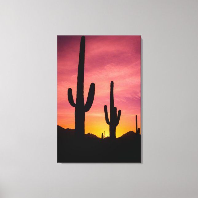Lienzo Cactus saguaro al amanecer, Arizona (Anverso)