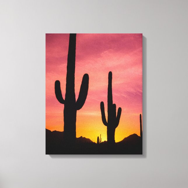 Lienzo Cactus saguaro al amanecer, Arizona (Anverso)