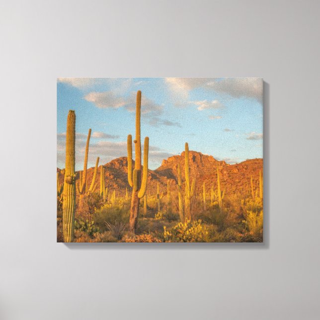 Lienzo Cactus saguaro al atardecer, Arizona (Anverso)