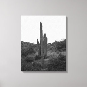 Lienzo Cactus Saguaro blanco y negro 16x20