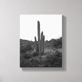 Lienzo Cactus Saguaro blanco y negro 8x10