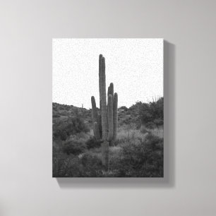 Lienzo Cactus Saguaro blanco y negro 8x10