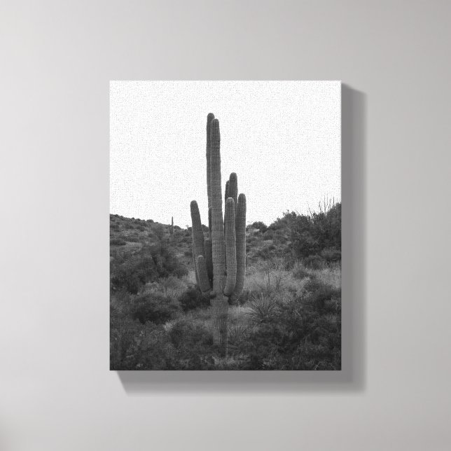 Lienzo Cactus Saguaro blanco y negro 8x10 (Anverso)