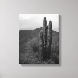 Lienzo Cactus Saguaro blanco y negro en colinas 11x14
