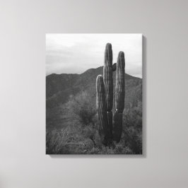 Lienzo Cactus Saguaro blanco y negro en colinas 16x20