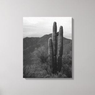 Lienzo Cactus Saguaro blanco y negro en colinas 16x20