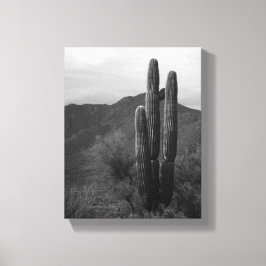 Lienzo Cactus Saguaro blanco y negro en colinas 8x10