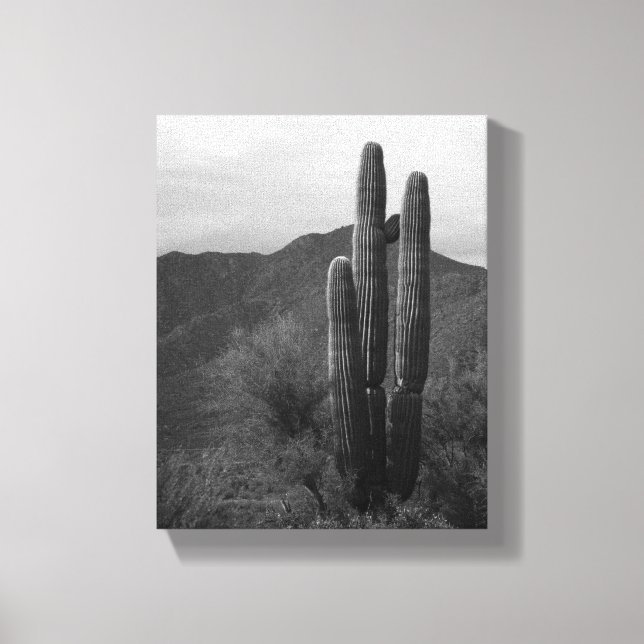 Lienzo Cactus Saguaro blanco y negro en colinas 8x10 (Anverso)