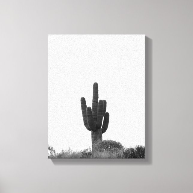 Lienzo Cactus Saguaro blanco y negro sobre la colina 11x1 (Anverso)