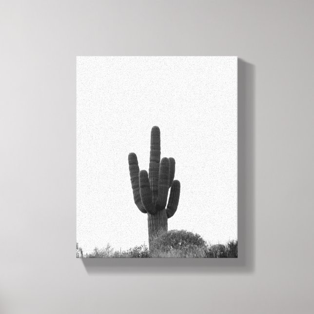 Lienzo Cactus Saguaro blanco y negro sobre la colina 8x10 (Anverso)