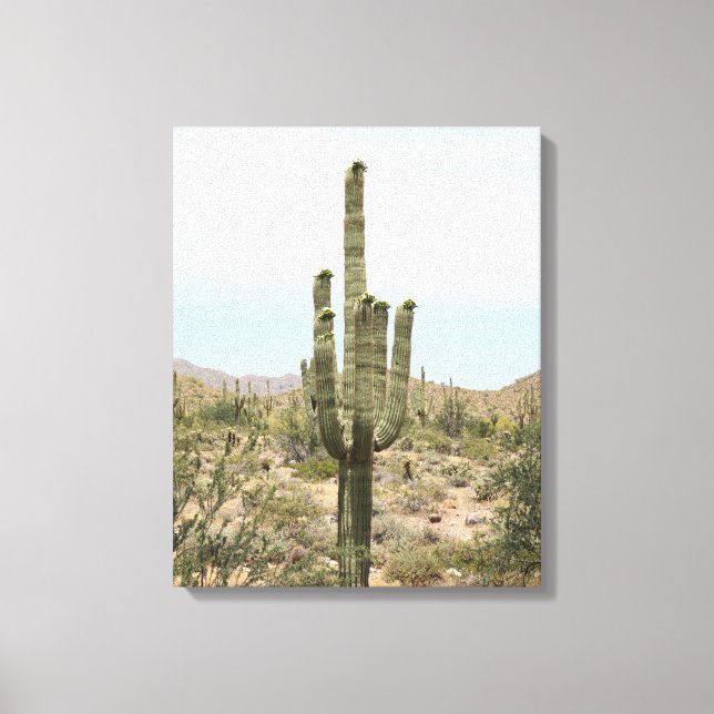 Lienzo Cactus Saguaro del desierto en Arizona color 16x20 (Anverso)
