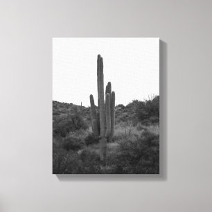 Lienzo Cactus Saguaro en blanco y negro 11x14