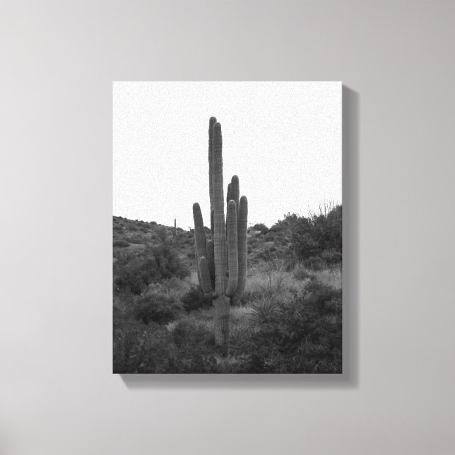 Lienzo Cactus Saguaro en blanco y negro 11x14 (Anverso)
