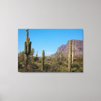 Lienzo Cactus Saguaro en el Desierto de Sonora, Arizona