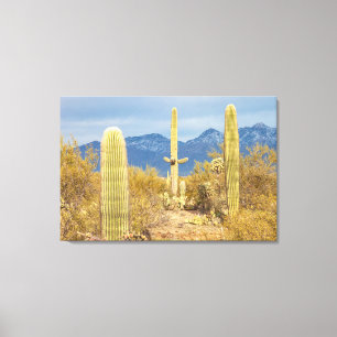 Lienzo Cactus Saguaro en paisaje desértico