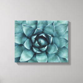 Lienzo Cactus Succulent Cacti Canvas Art