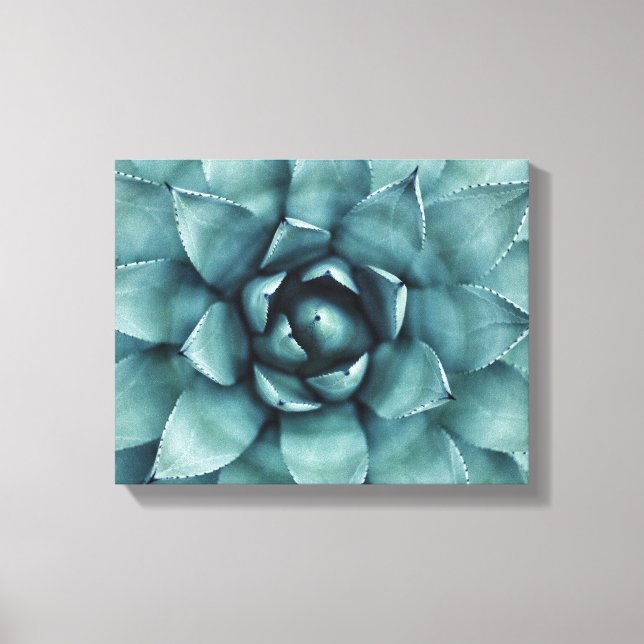 Lienzo Cactus Succulent Cacti Canvas Art (Anverso)