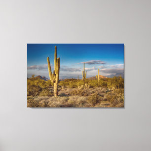 Lienzo Cactus Sunset en Arizona