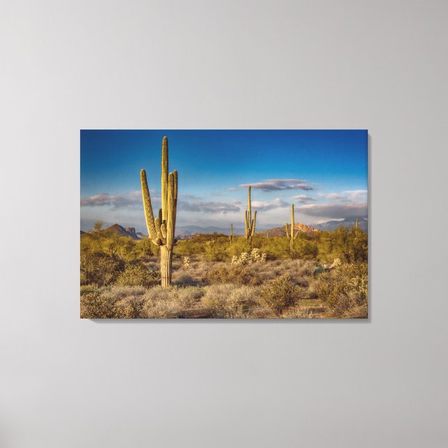 Lienzo Cactus Sunset en Arizona (Anverso)