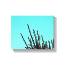 Cactus Verde pálido Plantas suculentas Minimalismo