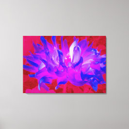 Lienzo Cactus Violeta Azul y Rosa Caliente Dahlia