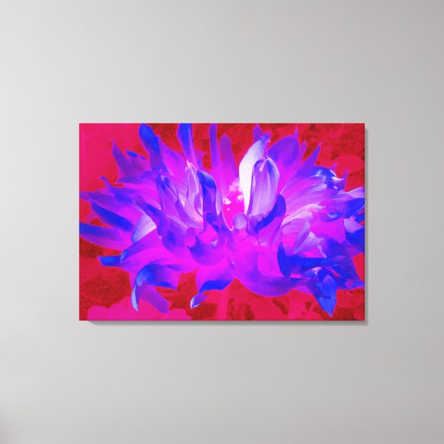 Lienzo Cactus Violeta Azul y Rosa Caliente Dahlia (Anverso)